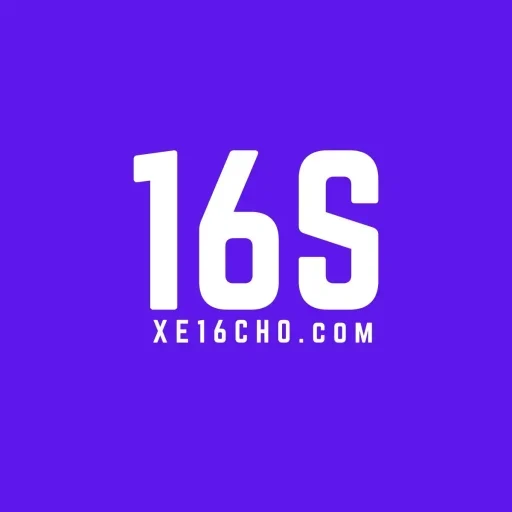 logo-xe16cho-tim00003